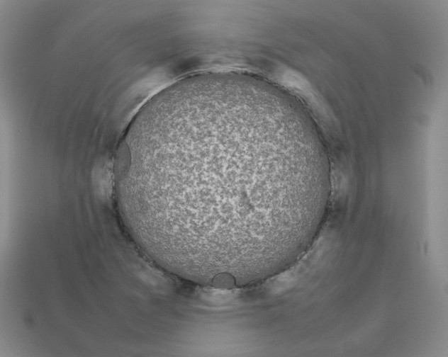 X0000112831361200910021214