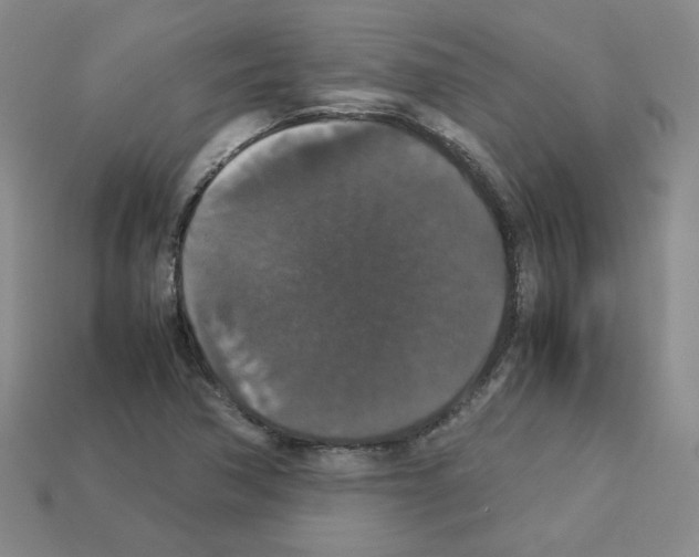 X0000112831362200910021214