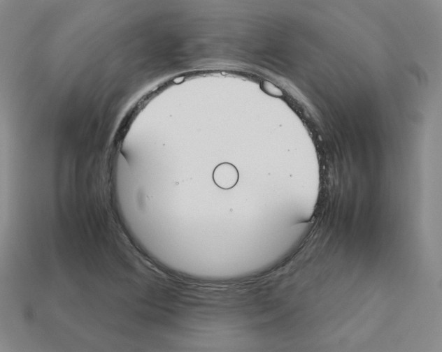 X0000112831364200910021214