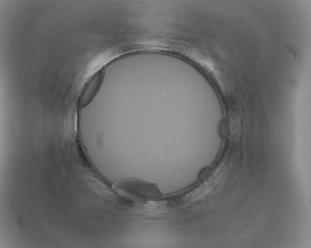 X0000112831365200910021214