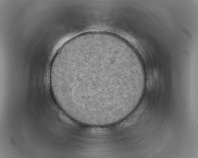 X0000112831366200910021214