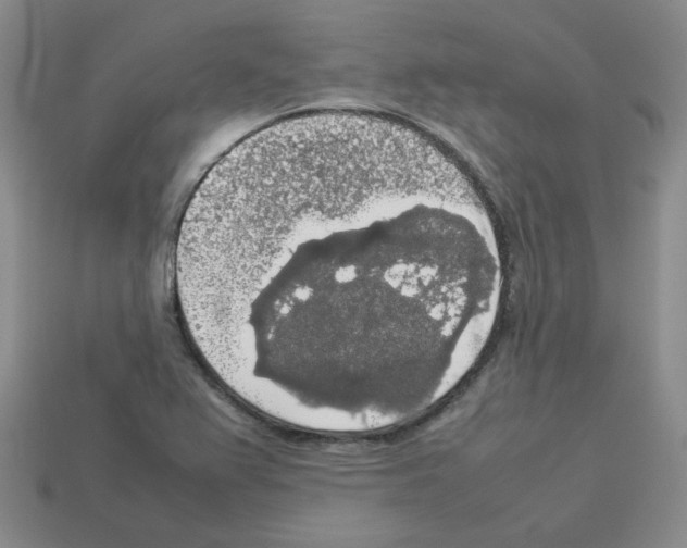 X0000112831367200910021214