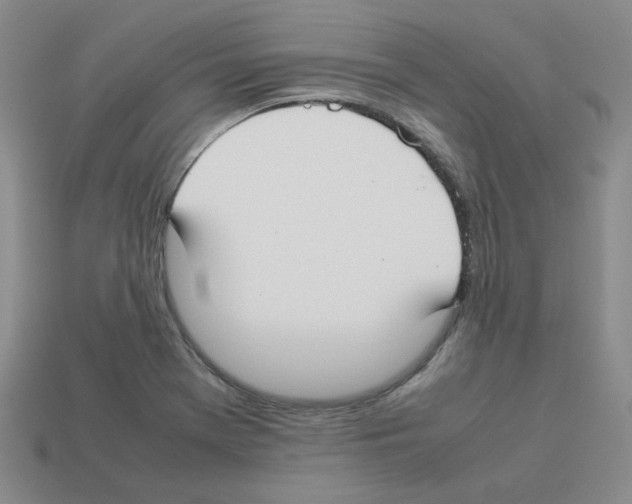 X0000112831369200910021214