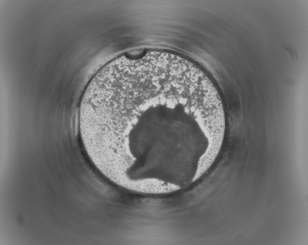 X0000112831371200910021214