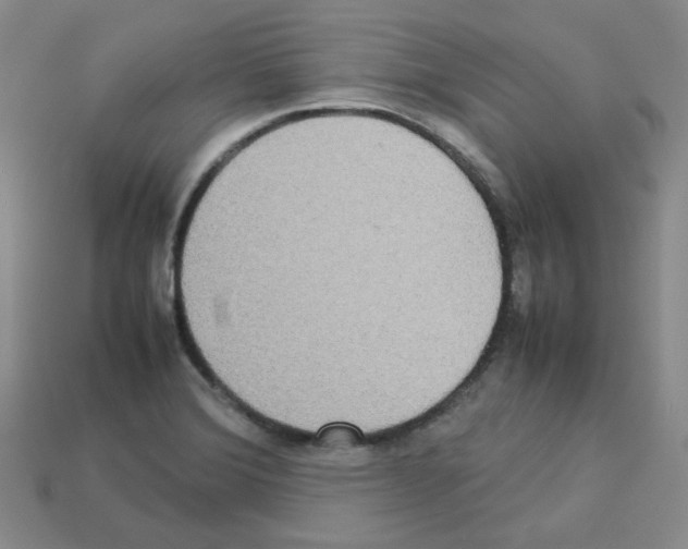 X0000112831372200910021214