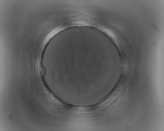 X0000112831373200910021214