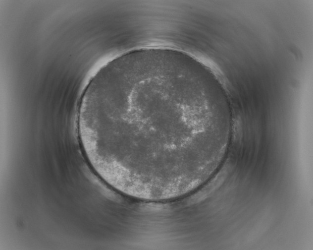 X0000112831374200910021214