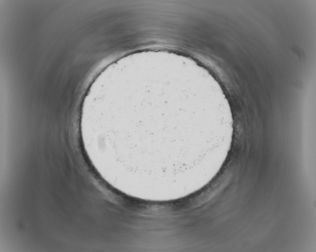 X0000112831375200910021214