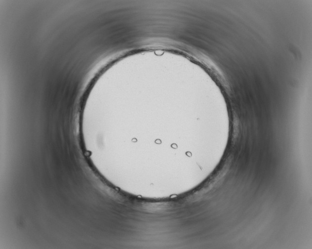 X0000112831376200910021214