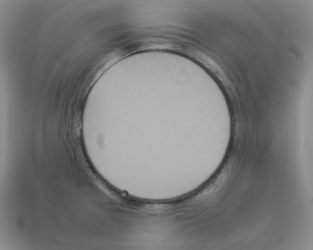 X0000112831377200910021214