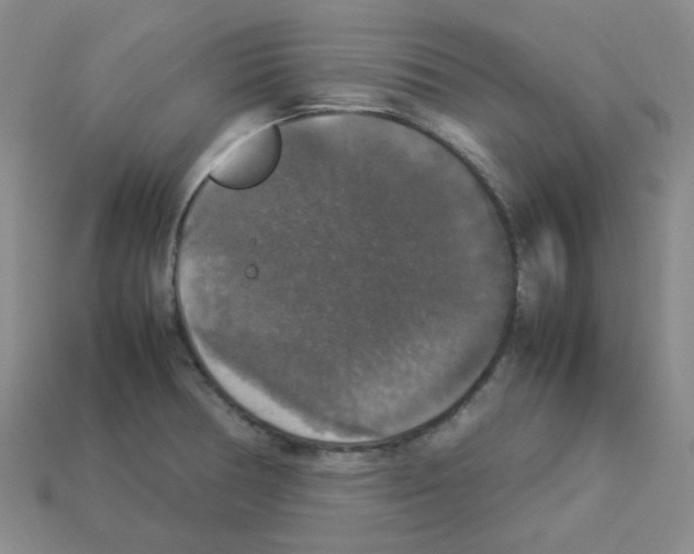 X0000112831378200910021214