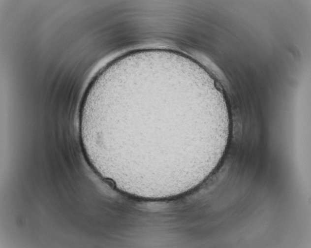 X0000112831380200910021214