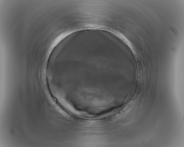 X0000112831381200910021214