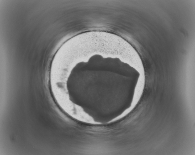 X0000112831383200910021214