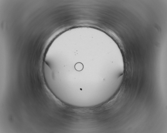 X0000112831384200910021214