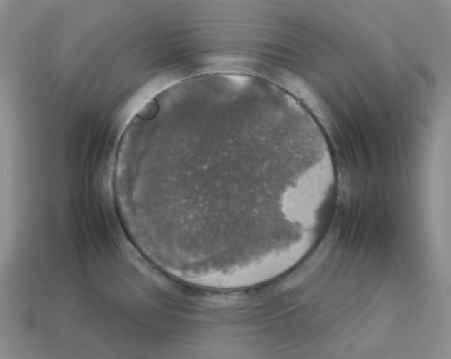 X0000112831386200910021214