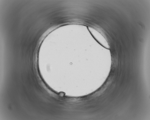 X0000112831387200910021214