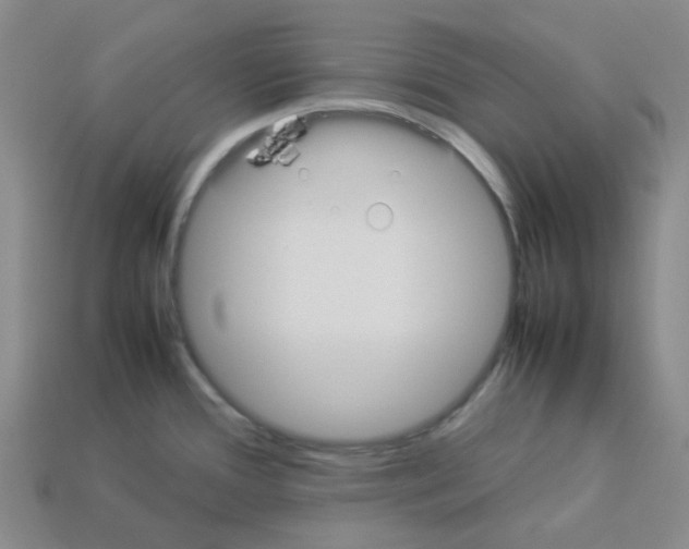 X0000112831388200910021213