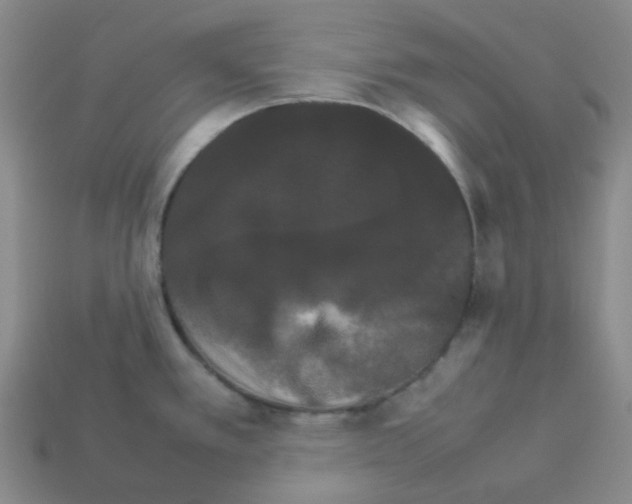 X0000112831389200910021213