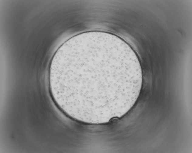 X0000112831391200910021213