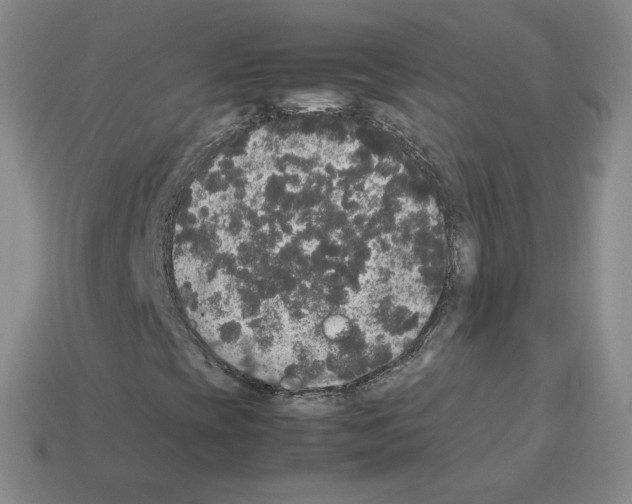 X0000112831393200910021213