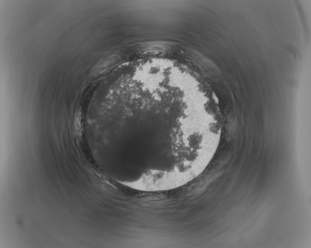 X0000112831394200910021213