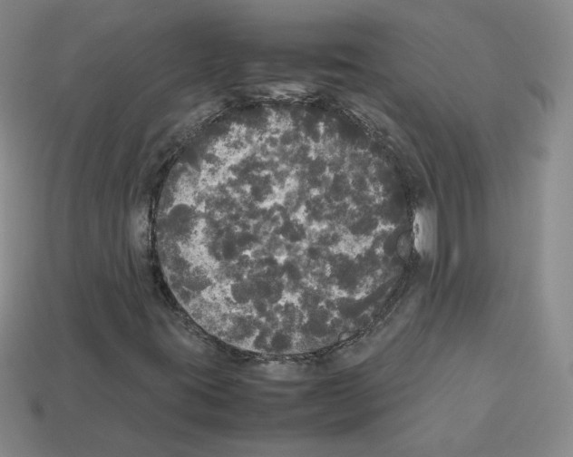 X0000112831395200910021213