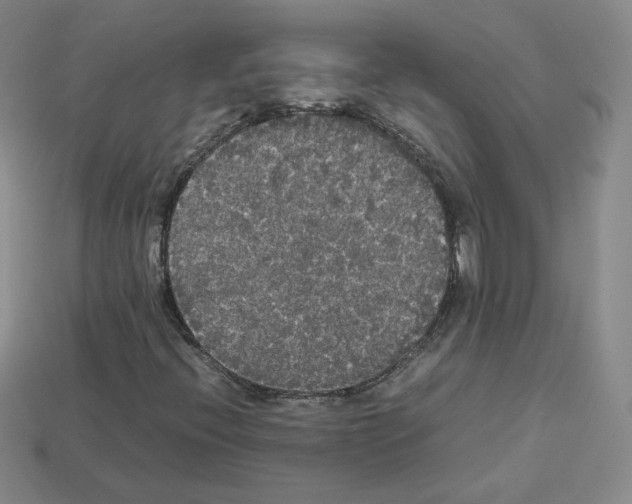 X0000112831396200910021213