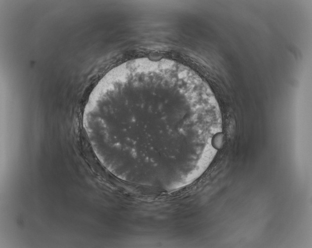 X0000112831397200910021213