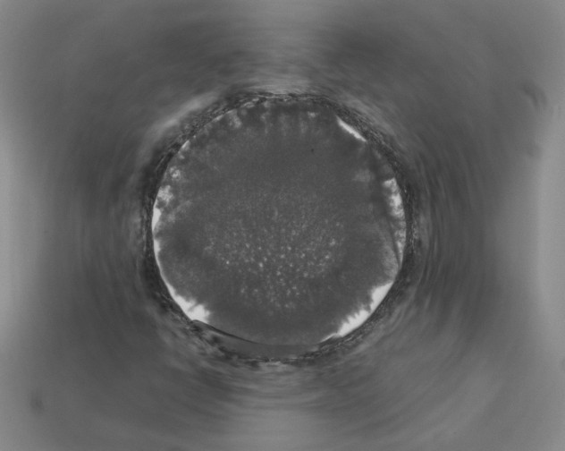 X0000112831398200910021213