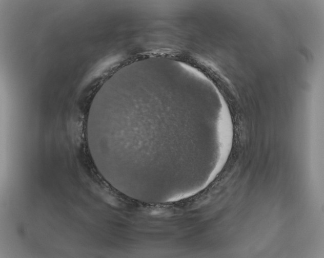 X0000112831399200910021213