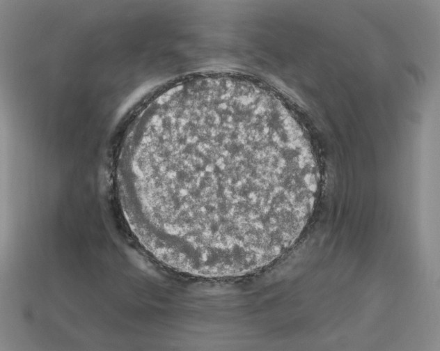 X0000112831400200910021213