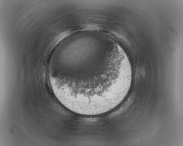 X0000112831401200910021213