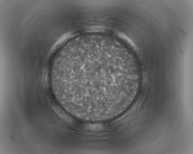 X0000112831403200910021213