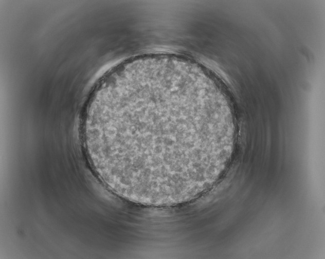 X0000112831404200910021213