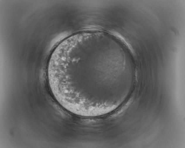 X0000112831405200910021213