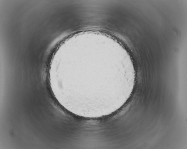 X0000112831406200910021213