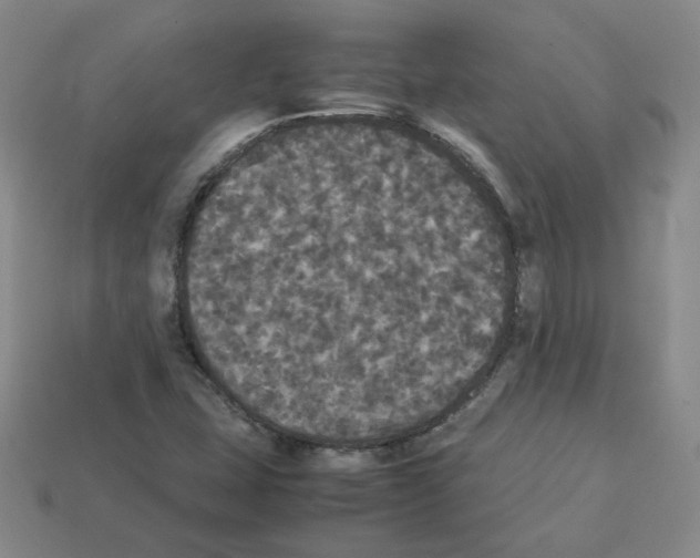 X0000112831407200910021213