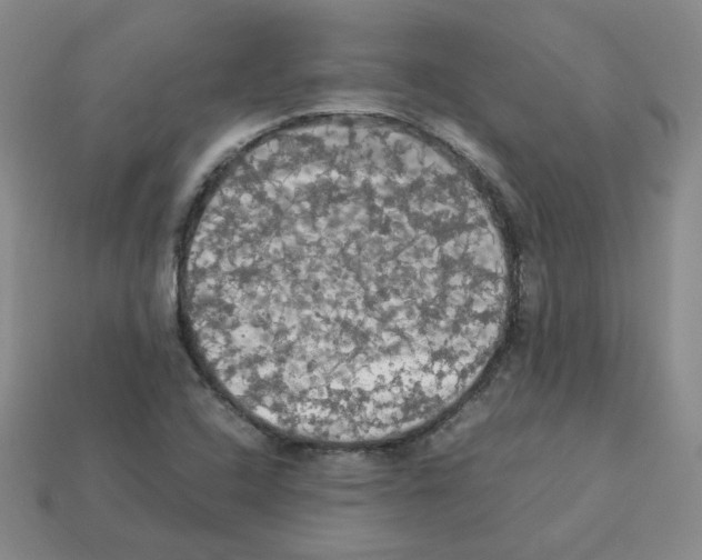 X0000112831408200910021213