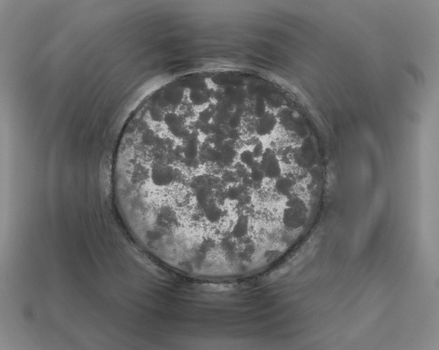 X0000112831409200910021213