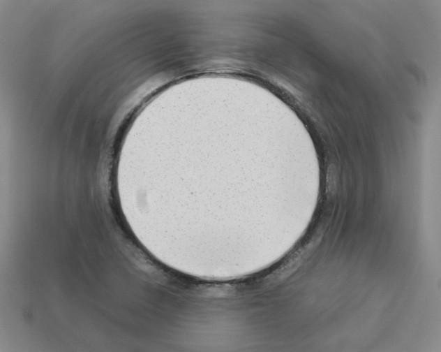 X0000112831410200910021213