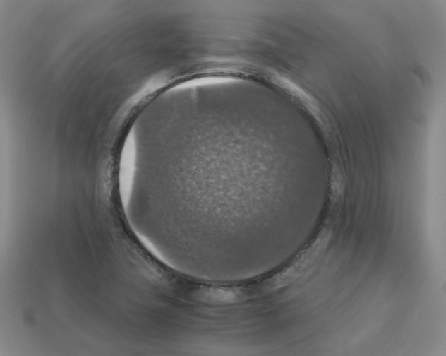 X0000112831411200910021213