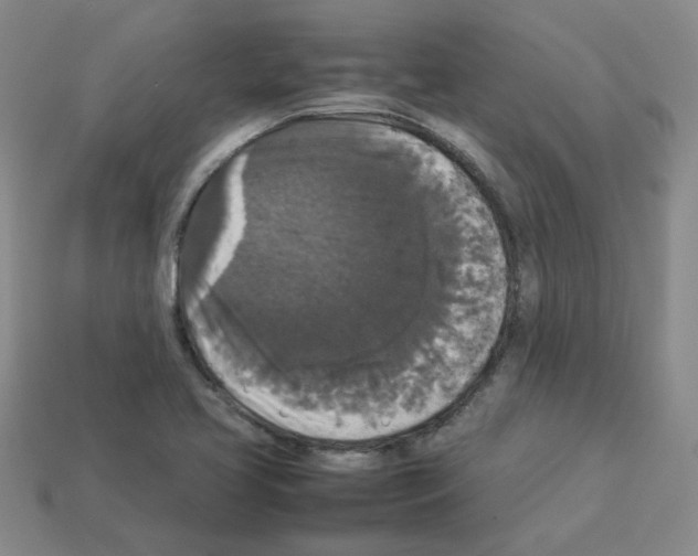 X0000112831413200910021213