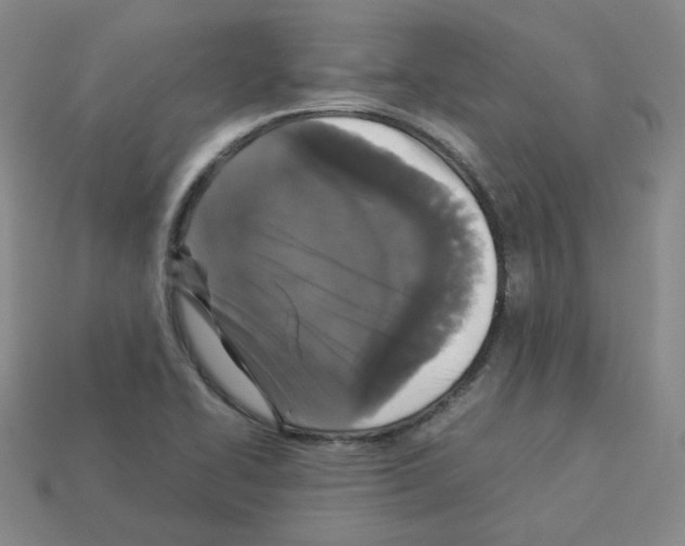 X0000112831414200910021213