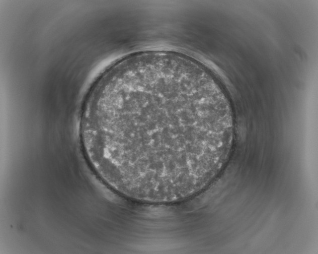 X0000112831416200910021213