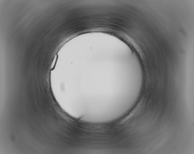 X0000112831417200910021213