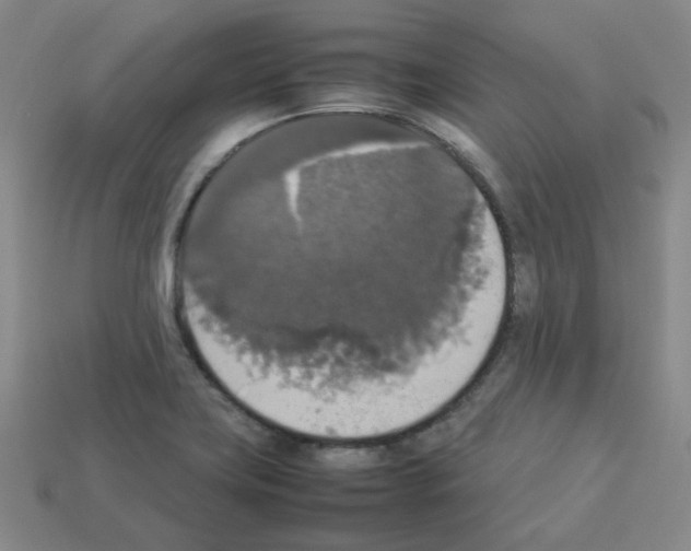 X0000112831419200910021213