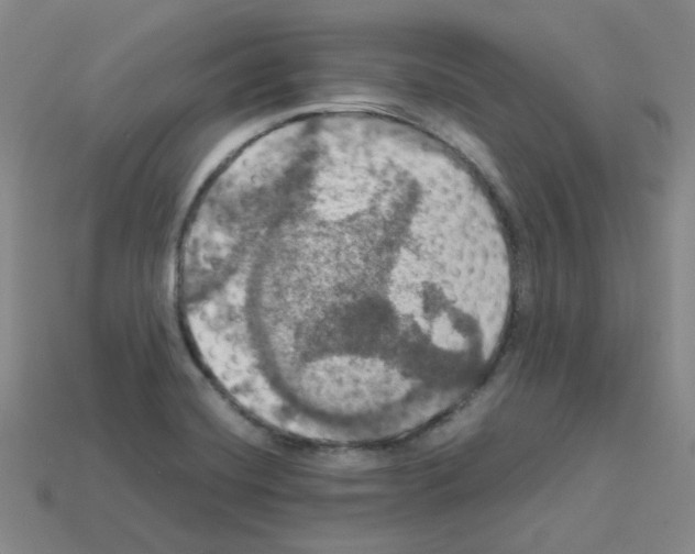 X0000112831420200910021213