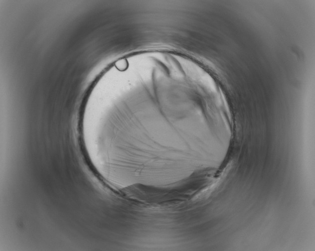 X0000112831422200910021213