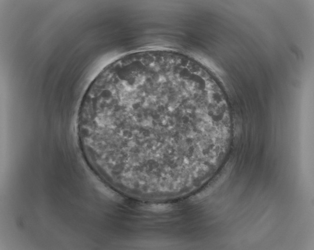 X0000112831423200910021213